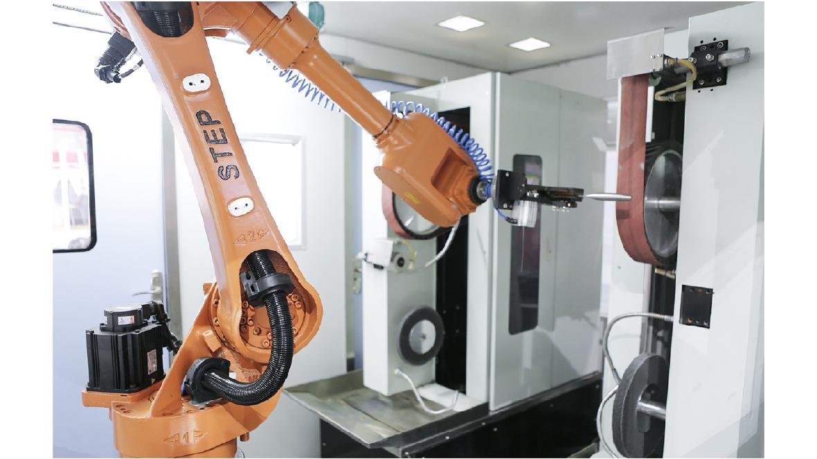 Intelligent system for tool polishing and grinding